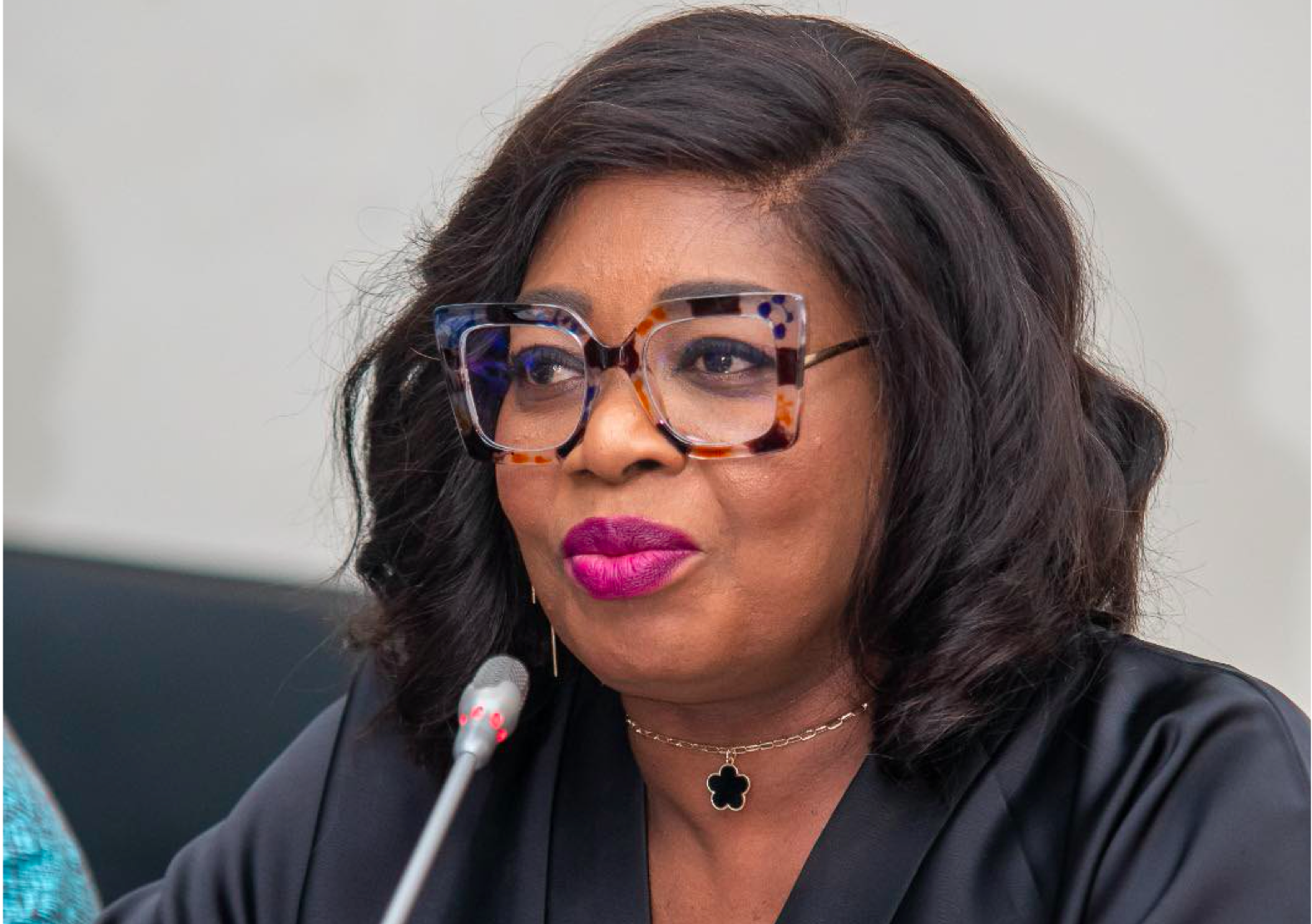 Parliament to sanction district assemblies misapplying Disability Funds ...